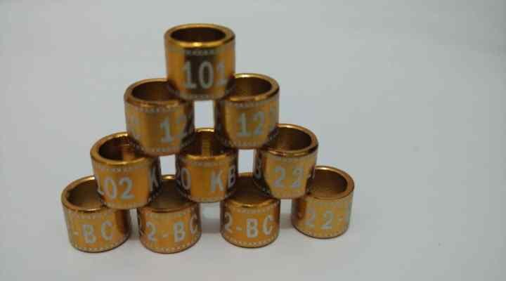 ring-burung-model-laser-list-2-3557223