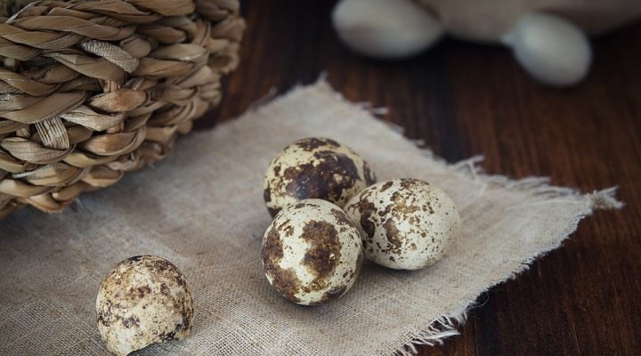 quail-eggs-1247388_960_720-9134134