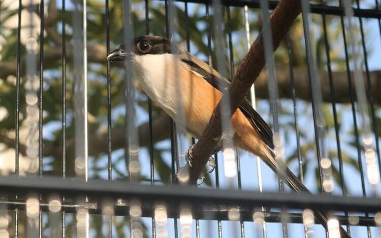 manfaat-dan-cara-melakukan-terapi-mandi-sauna-untuk-cendet-7562609