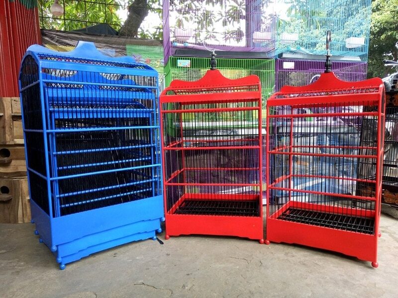 mengecat-sangkar-burung-warna-warni-5209215