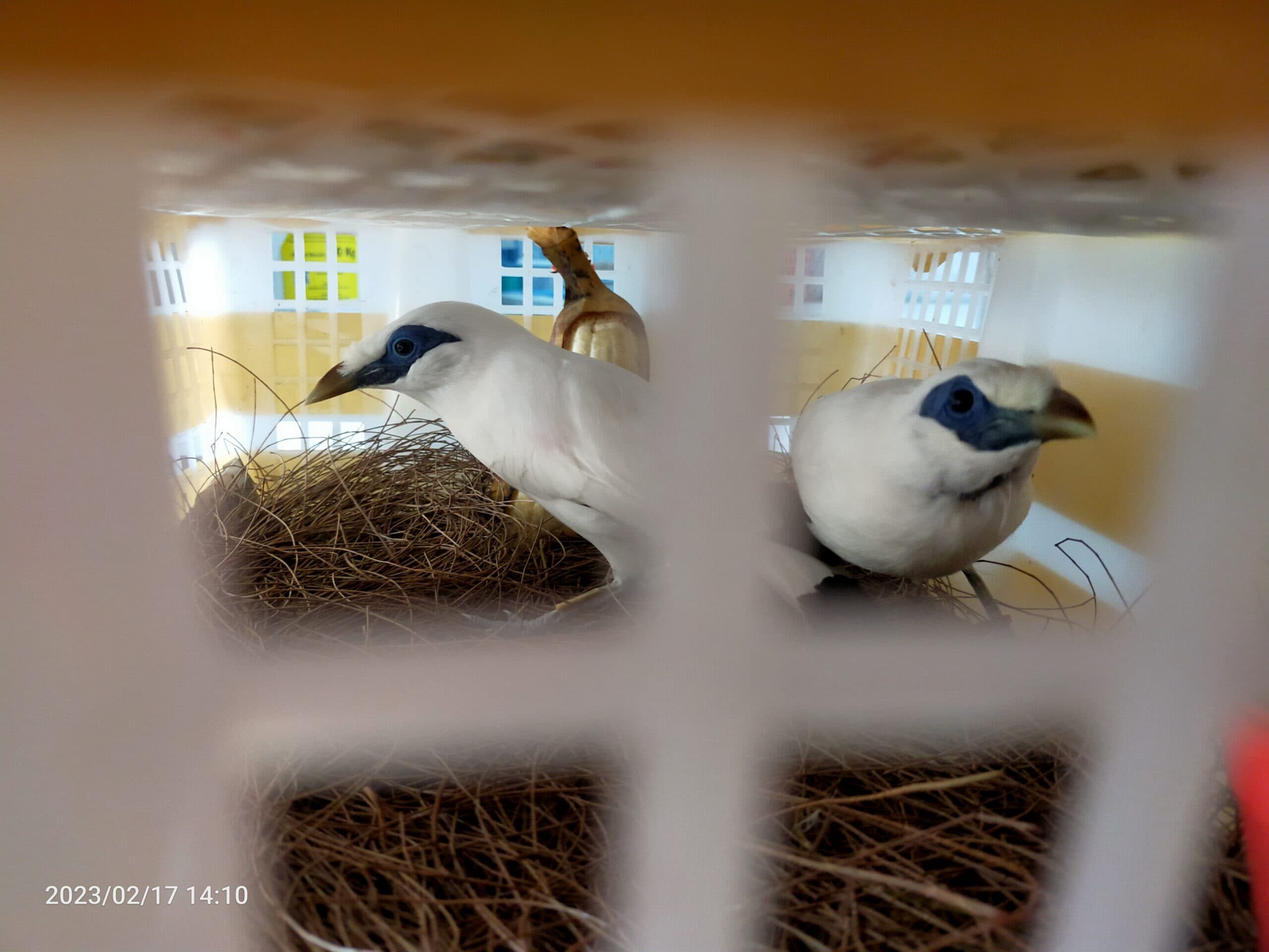 img20230217141056-scaled-6181085