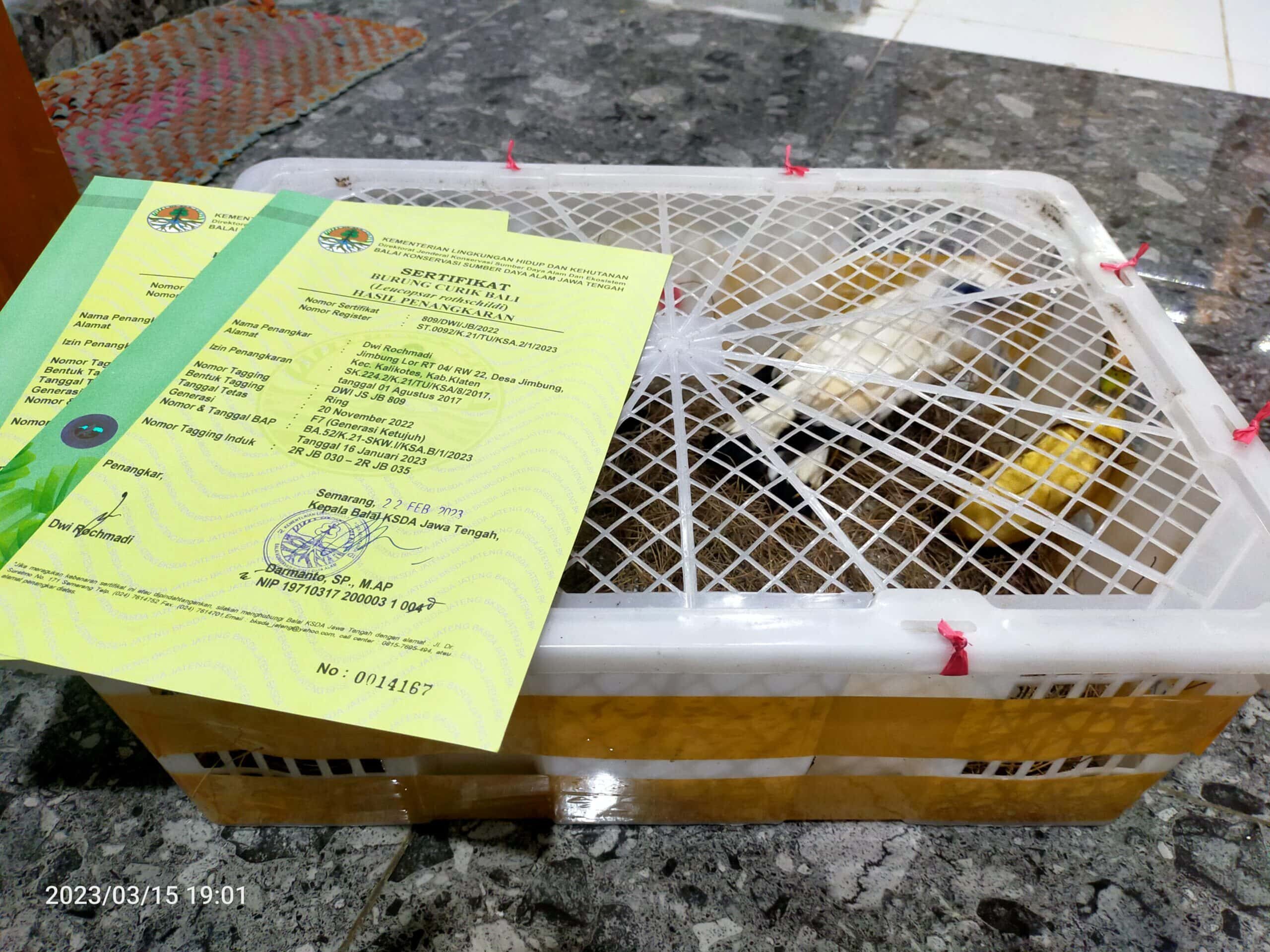 img20230315190111-scaled-4462406