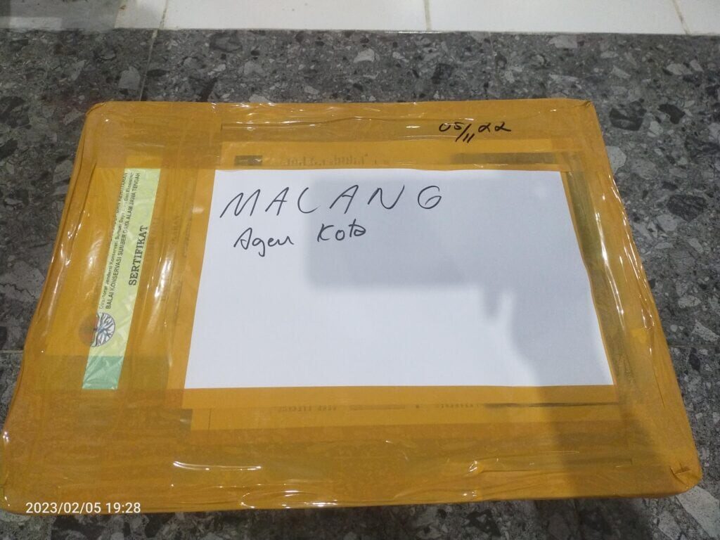 img20230205192845_burst000_cover-1024x768-6120915