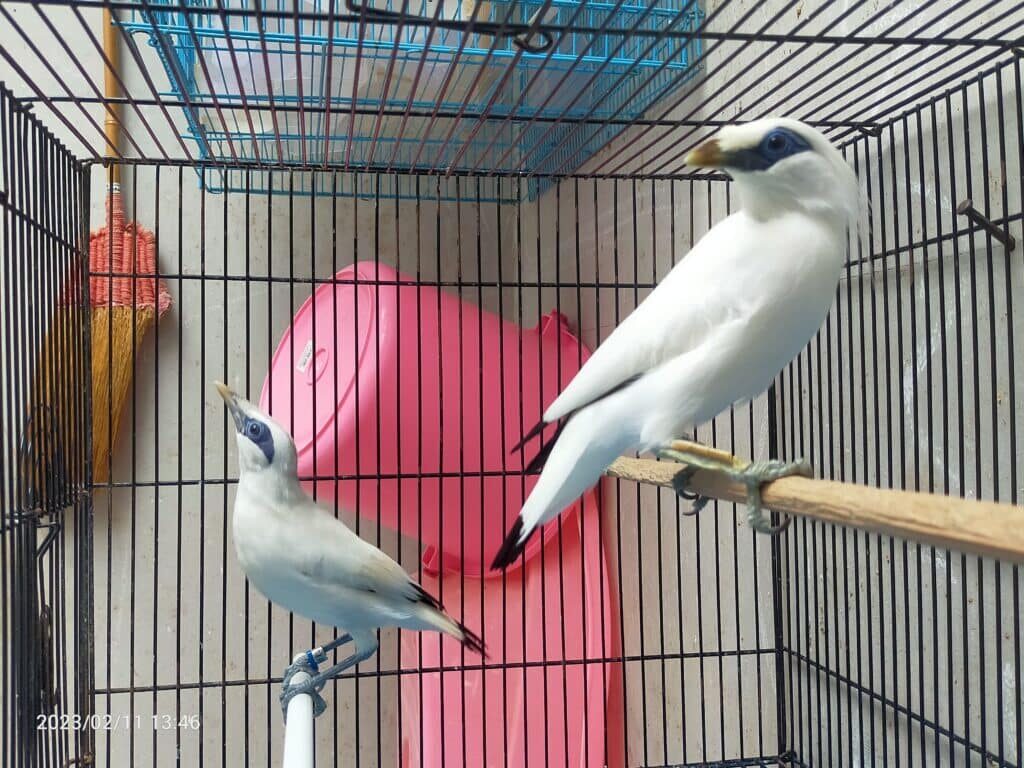 img20230211134629-1024x768-6353864