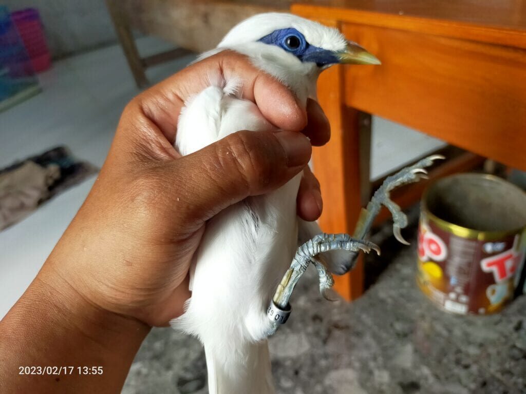 img20230217135539-1024x768-2260888