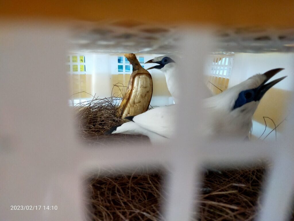 img20230217141047-1024x768-2401365