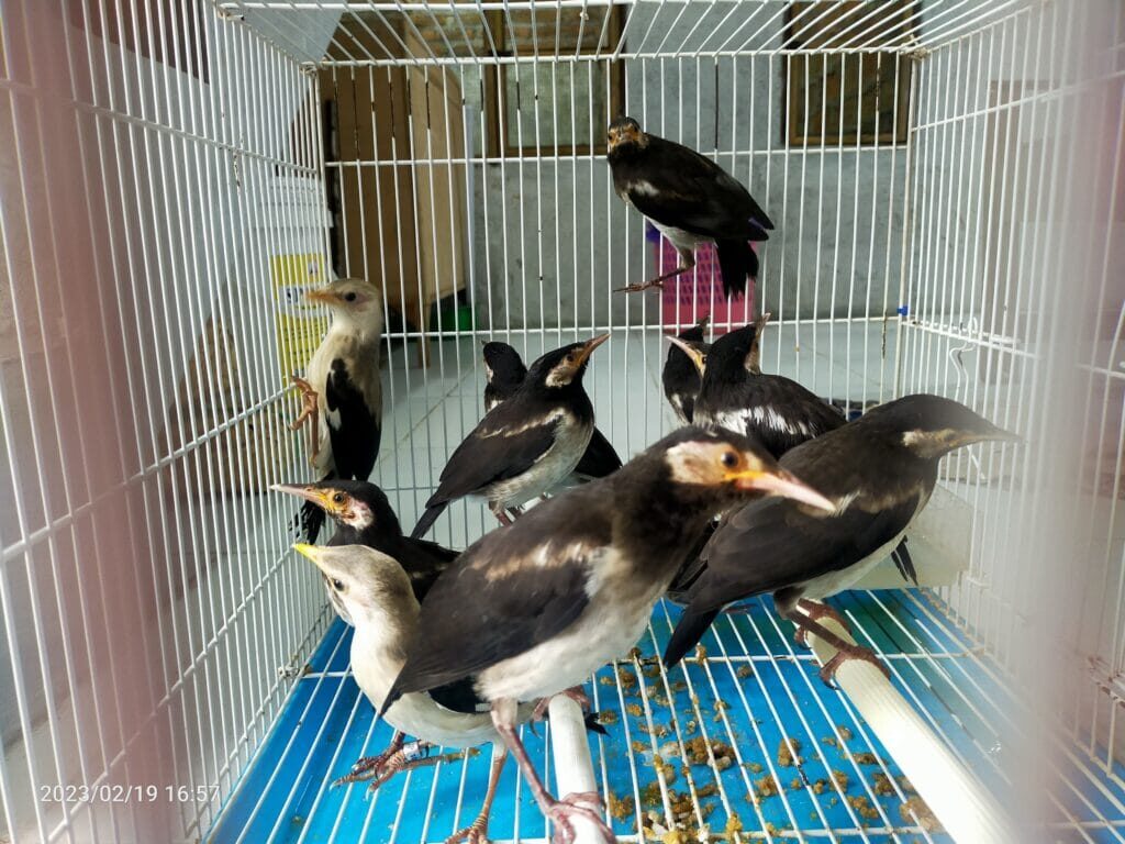 img20230219165743-1024x768-9632002