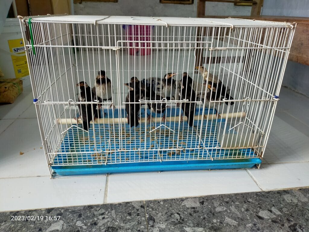 img20230219165758-1024x768-9191658