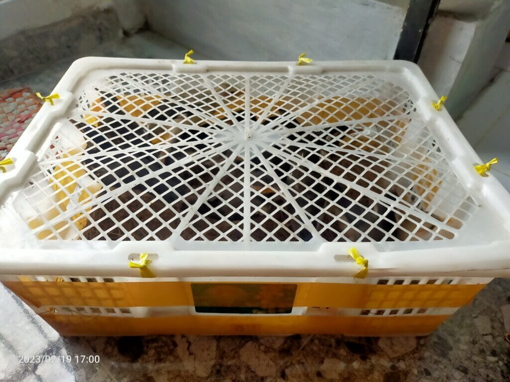 img20230219170016-1024x768-3928283