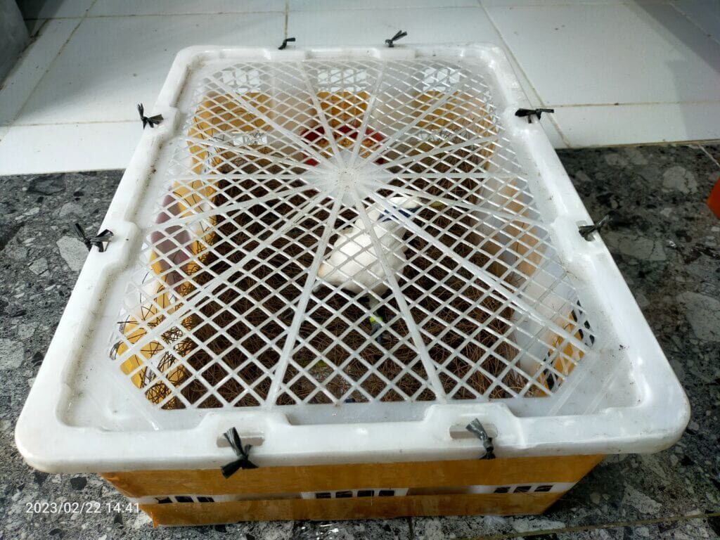 img20230222144126-1024x768-6597066