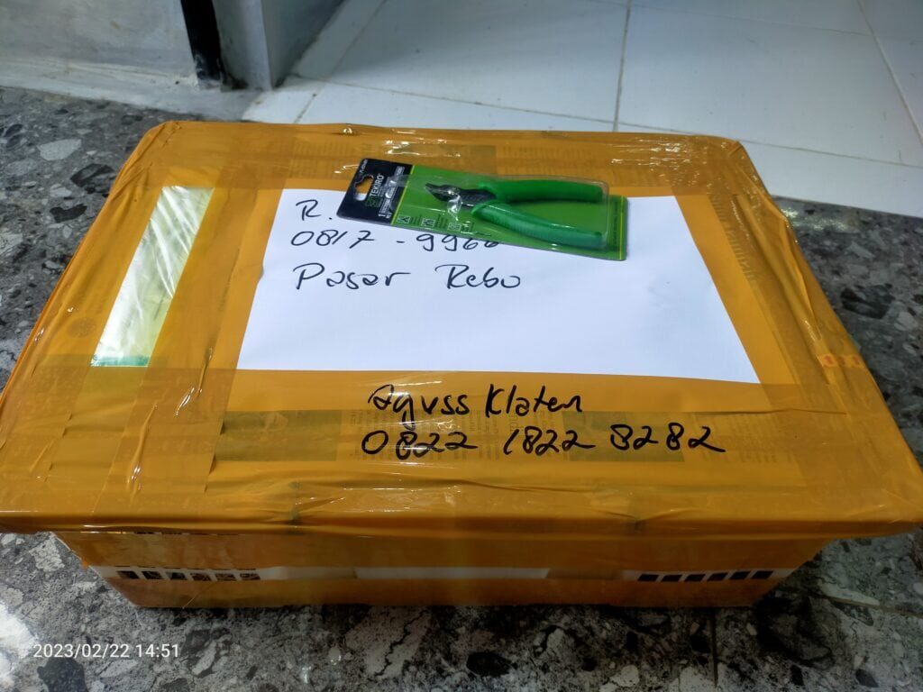 img20230222145107-1024x768-6868400