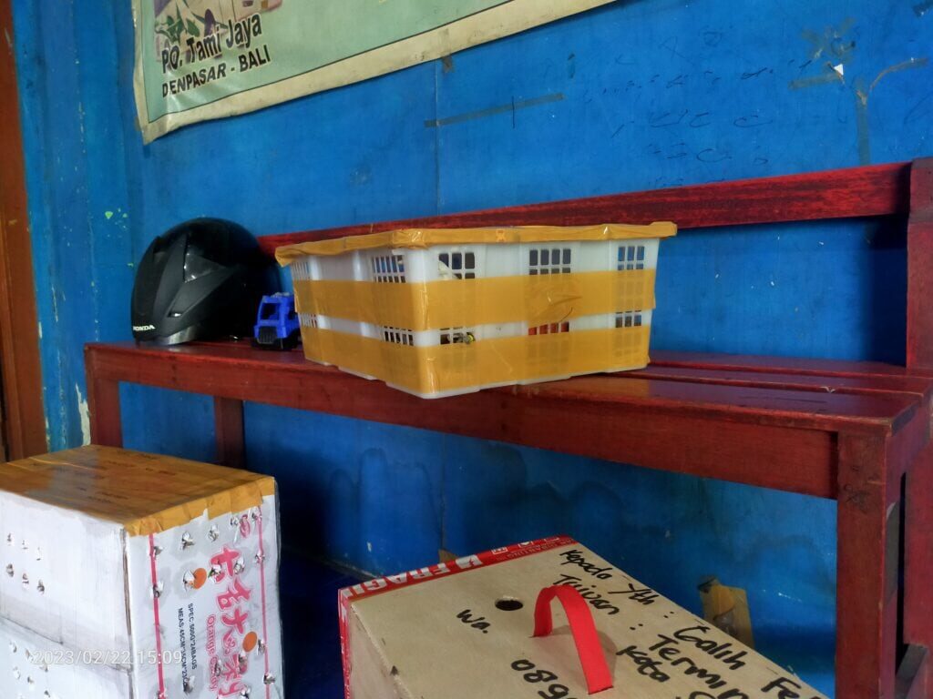 img20230222150902-1024x768-2556516