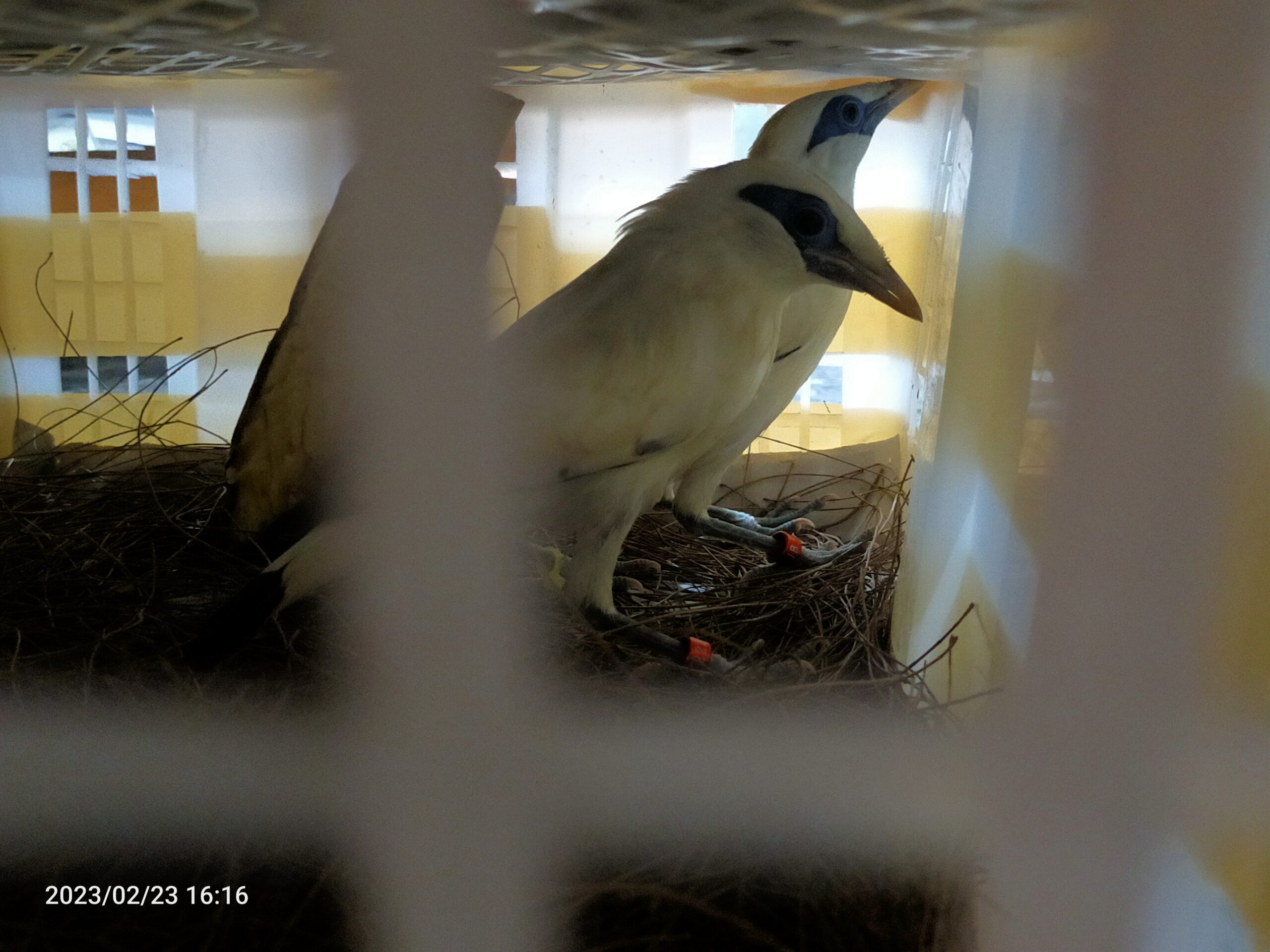 img20230223161613-scaled-5516049