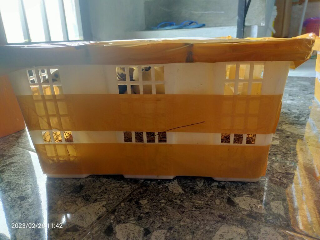 img20230226114255-1024x768-6076140