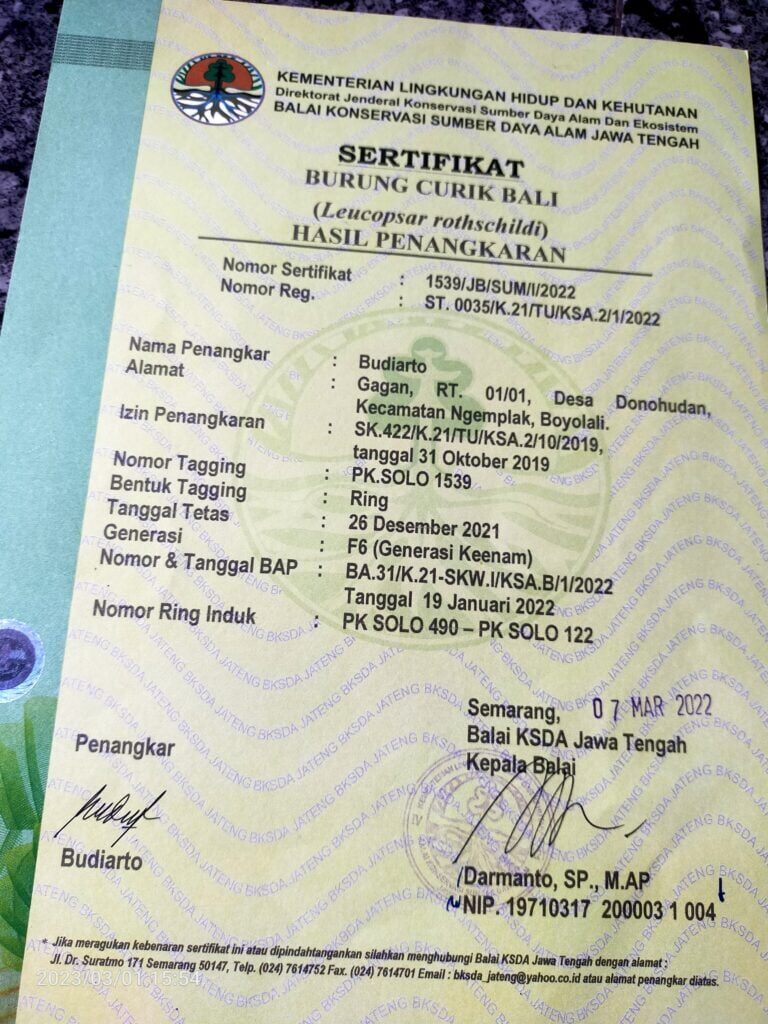 img20230301155410-768x1024-6056081