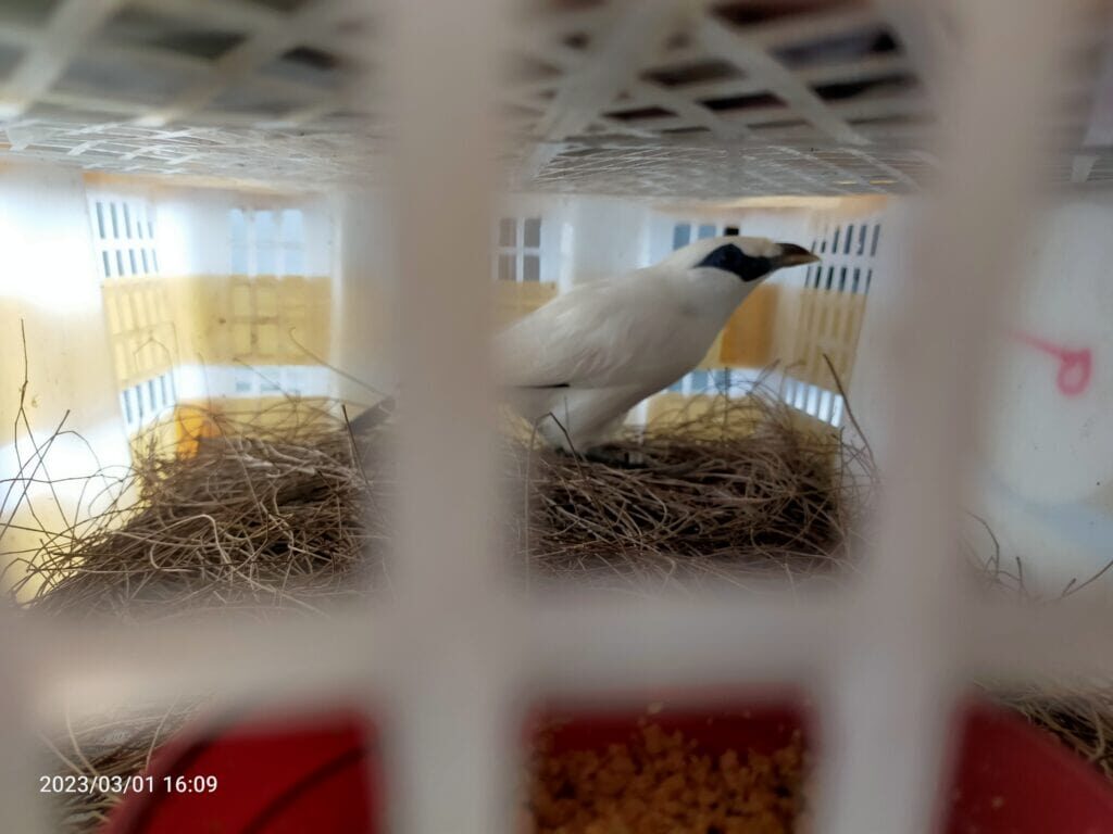 img20230301160922-1024x768-7820990