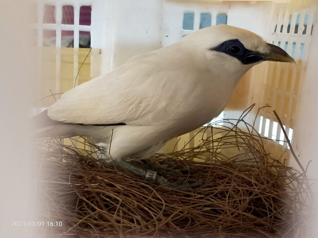 img20230301161014-1024x768-5070889