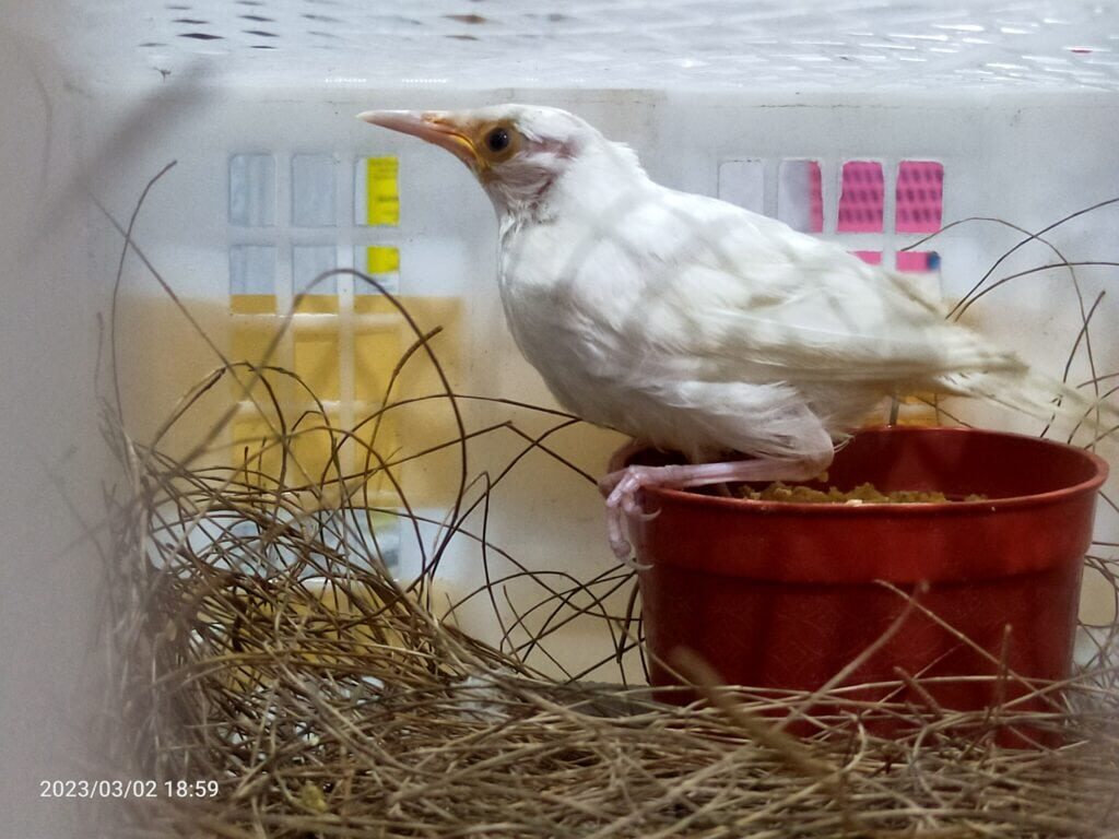 img20230302185944-1024x768-8681973