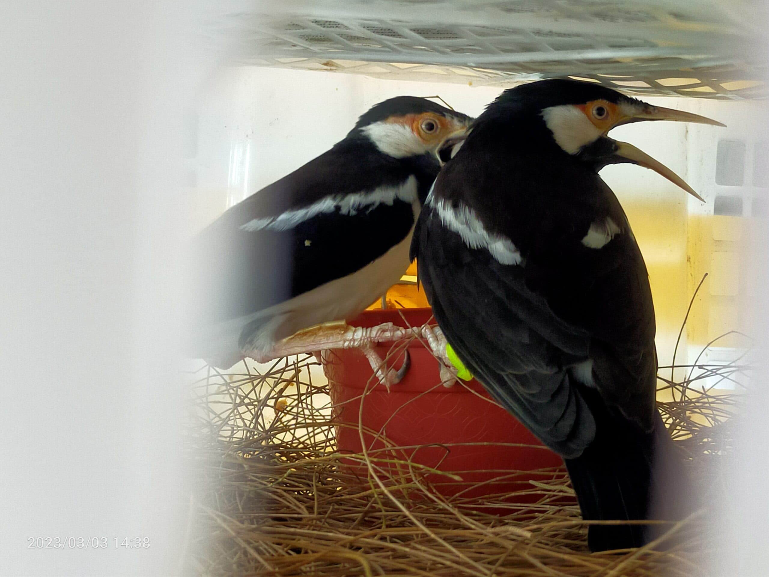 img20230303143835-scaled-6766906