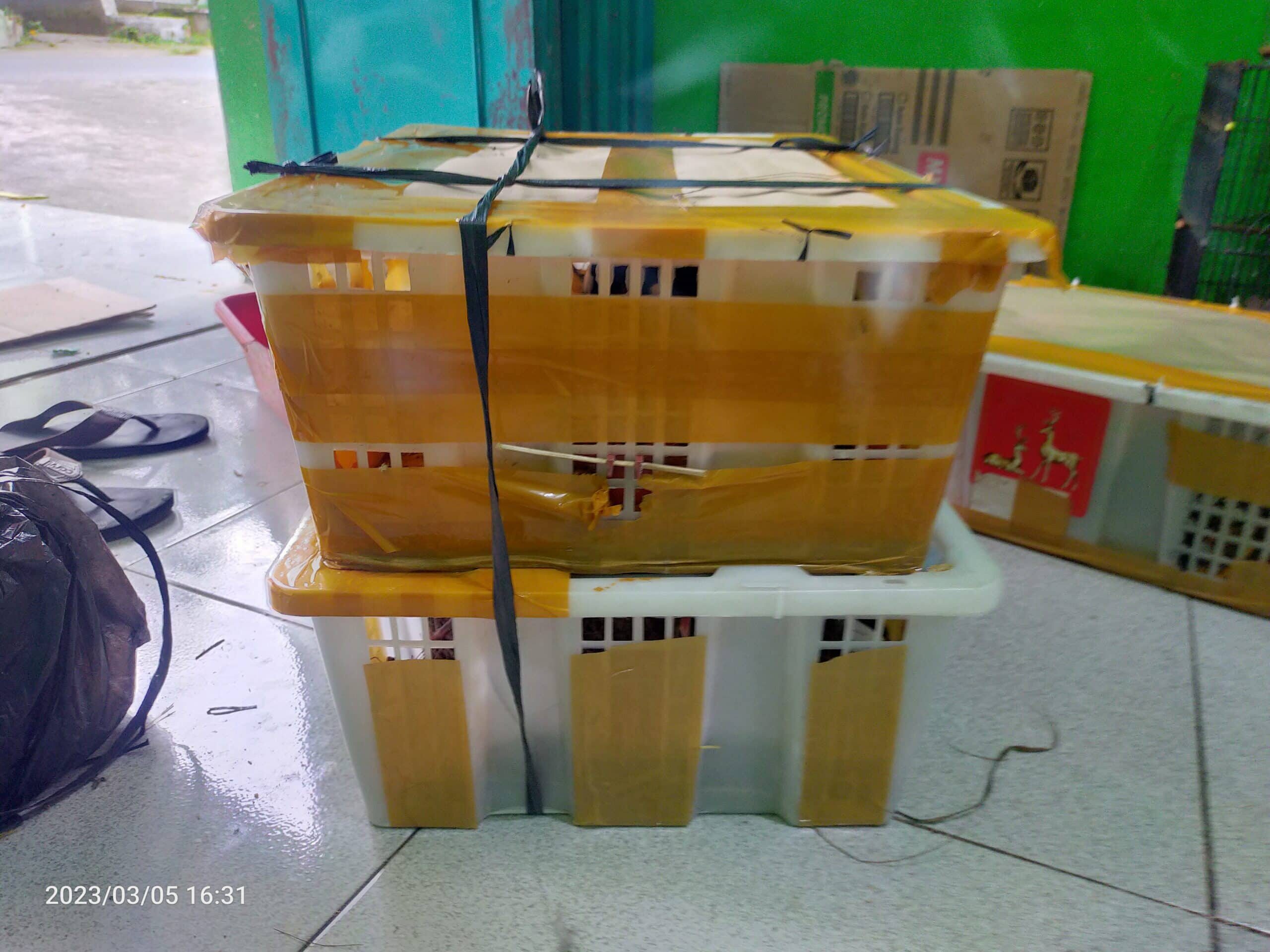 img20230305163158-scaled-5864167