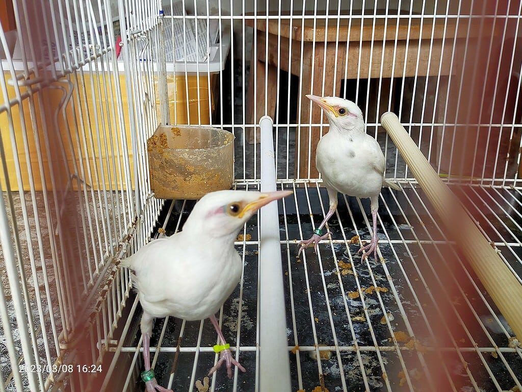 img20230308162441-1024x768-2209616