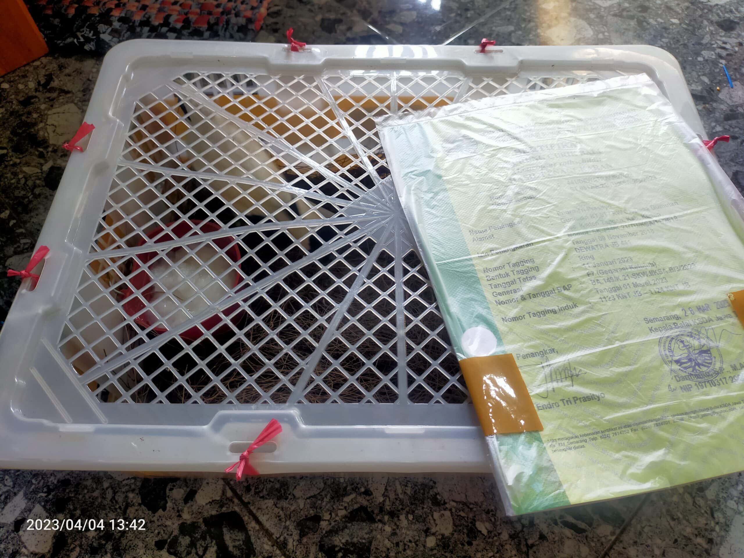 img20230404134212-scaled-1611946