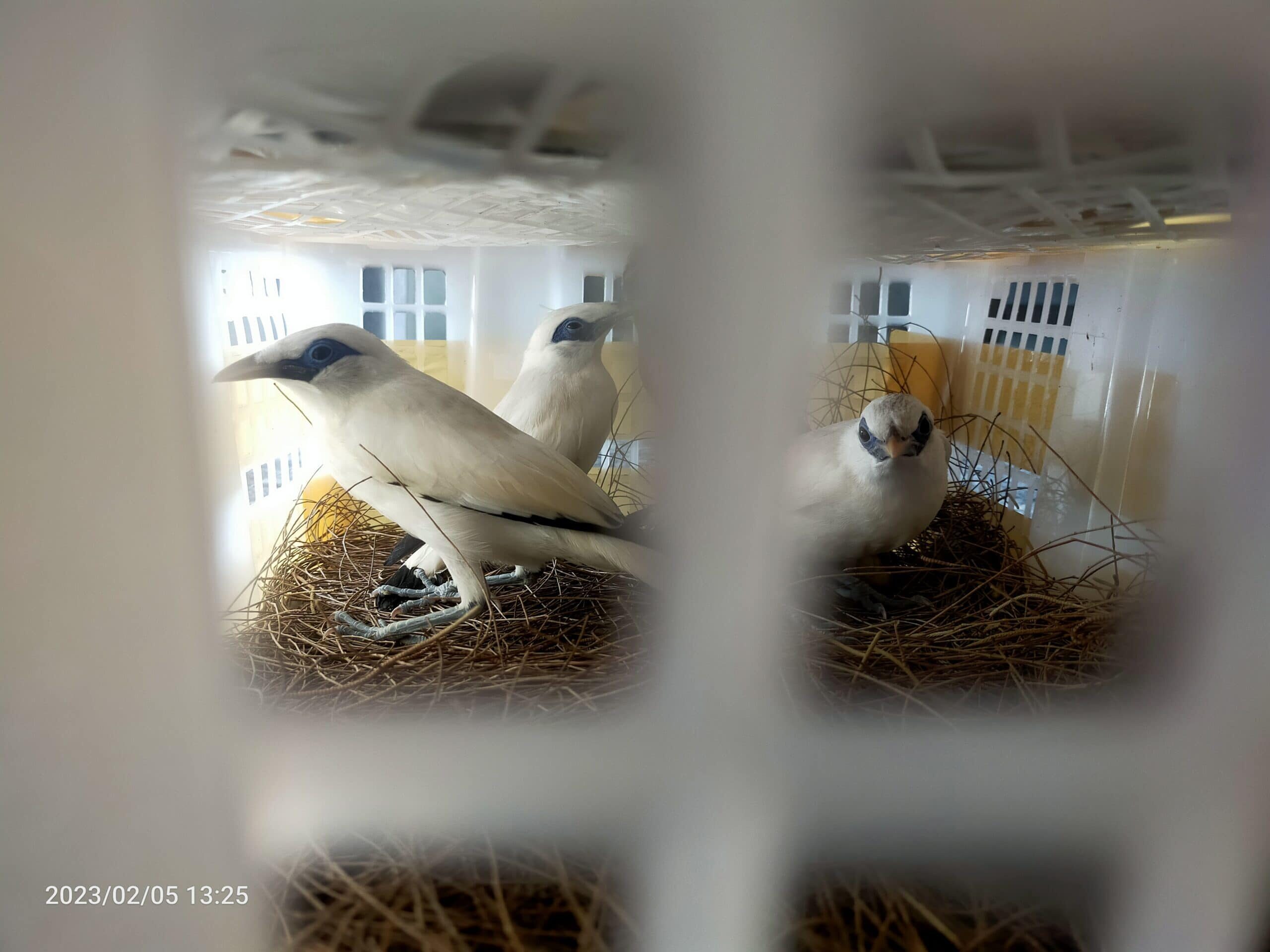 img20230205132547-scaled-8264339