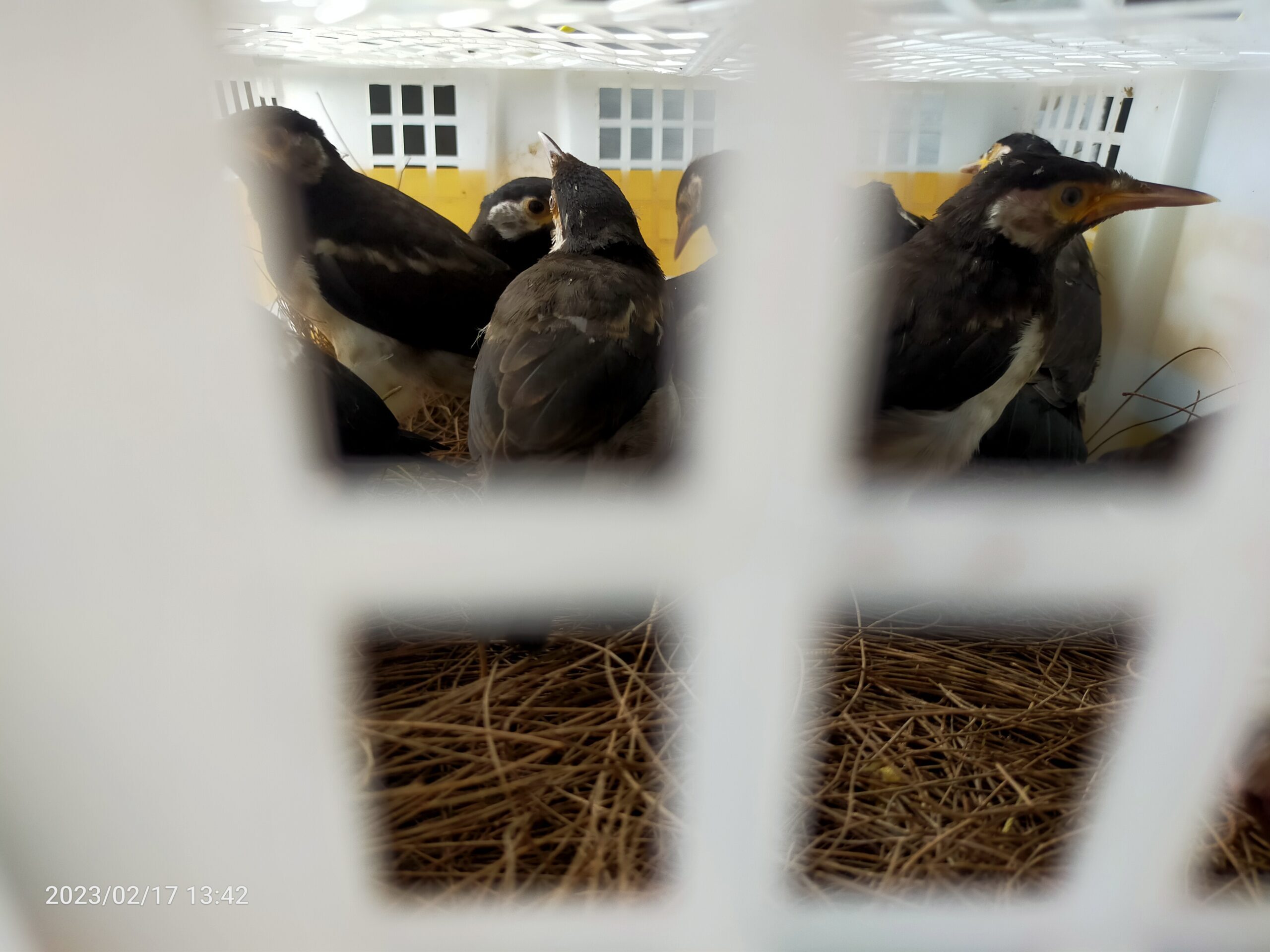 img20230217134213-scaled-3351590