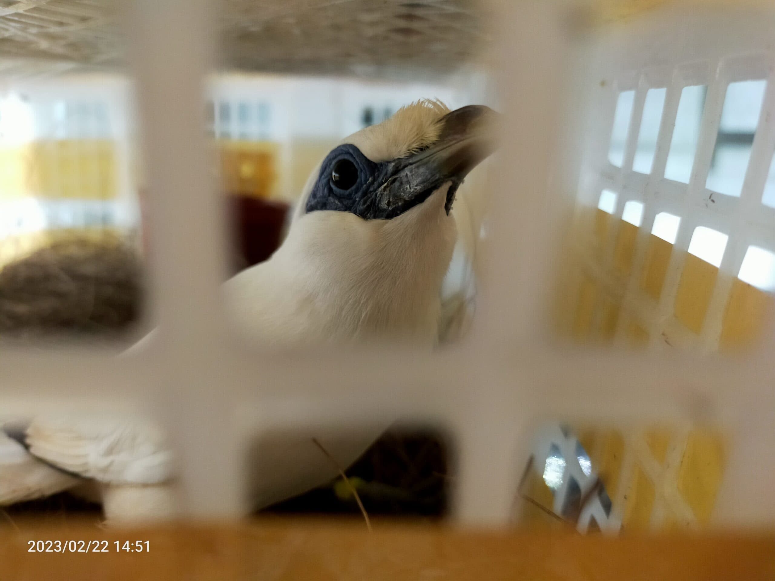 img20230222145143-scaled-6376154