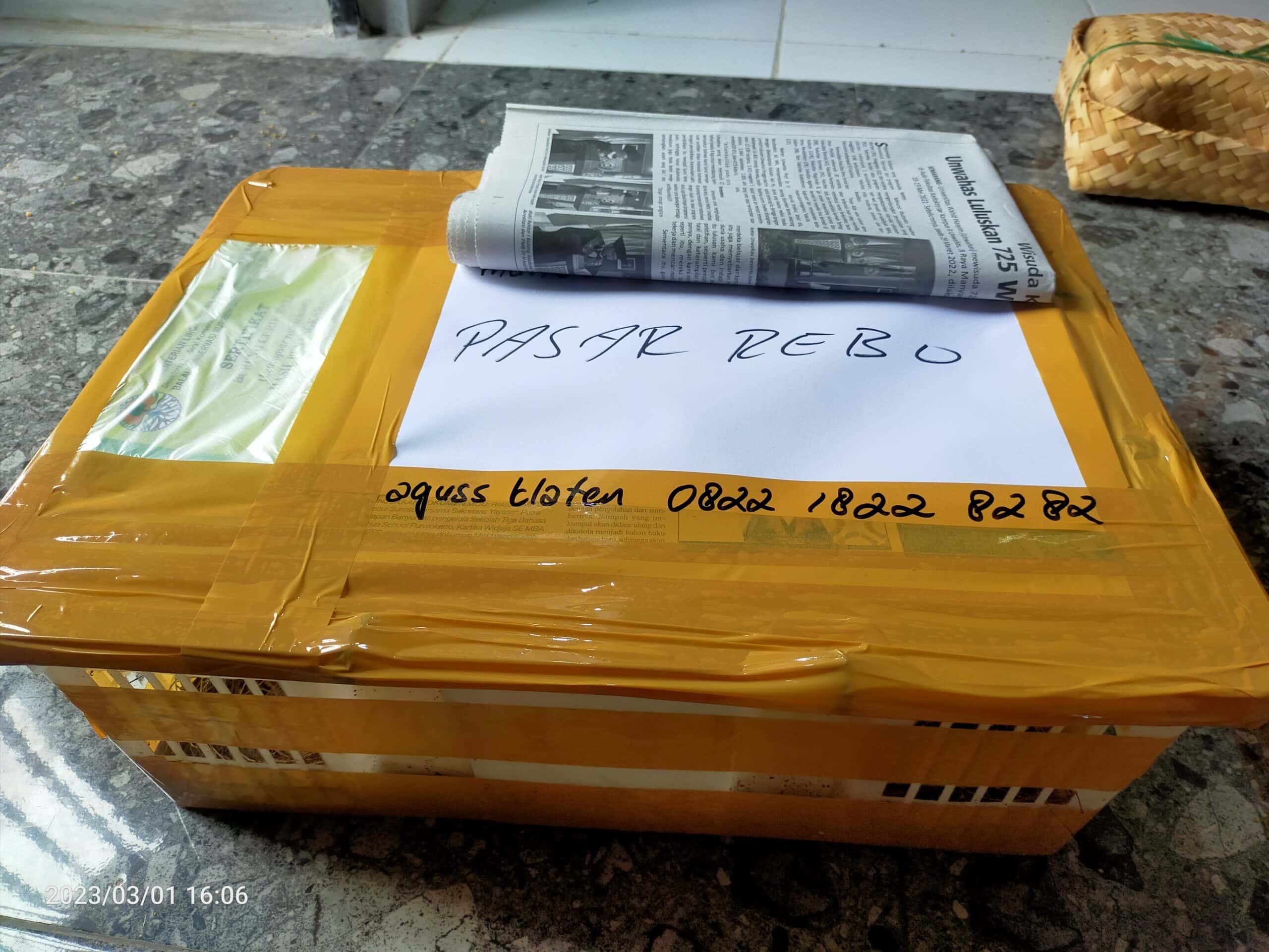 img20230301160645-scaled-5790473