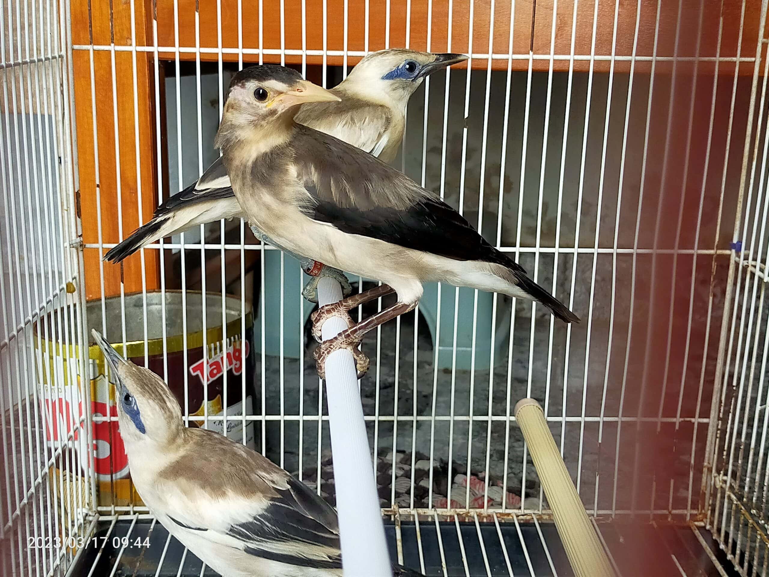 img20230317094431-scaled-5124345