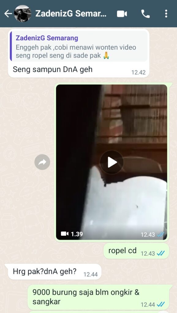 img_20230305_230024-578x1024-3331761