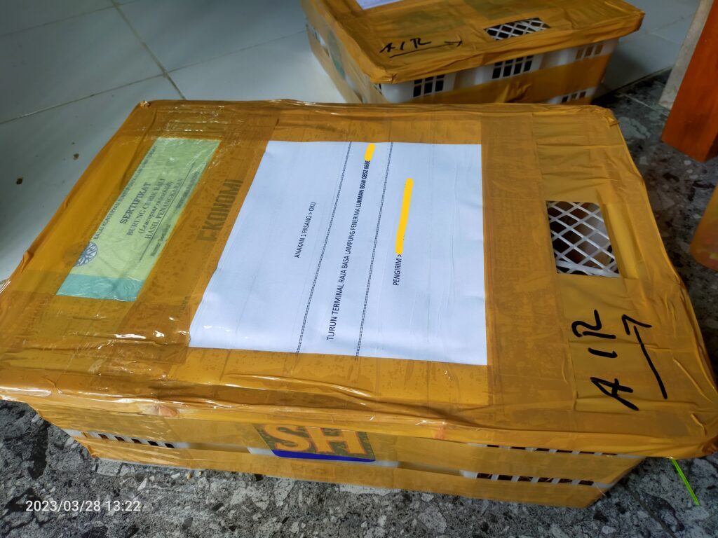 img_20230331_014501-1024x768-6938466