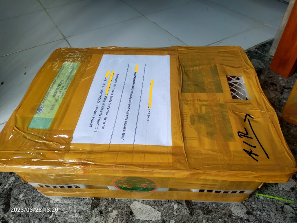 img_20230331_014551-1024x768-7652862