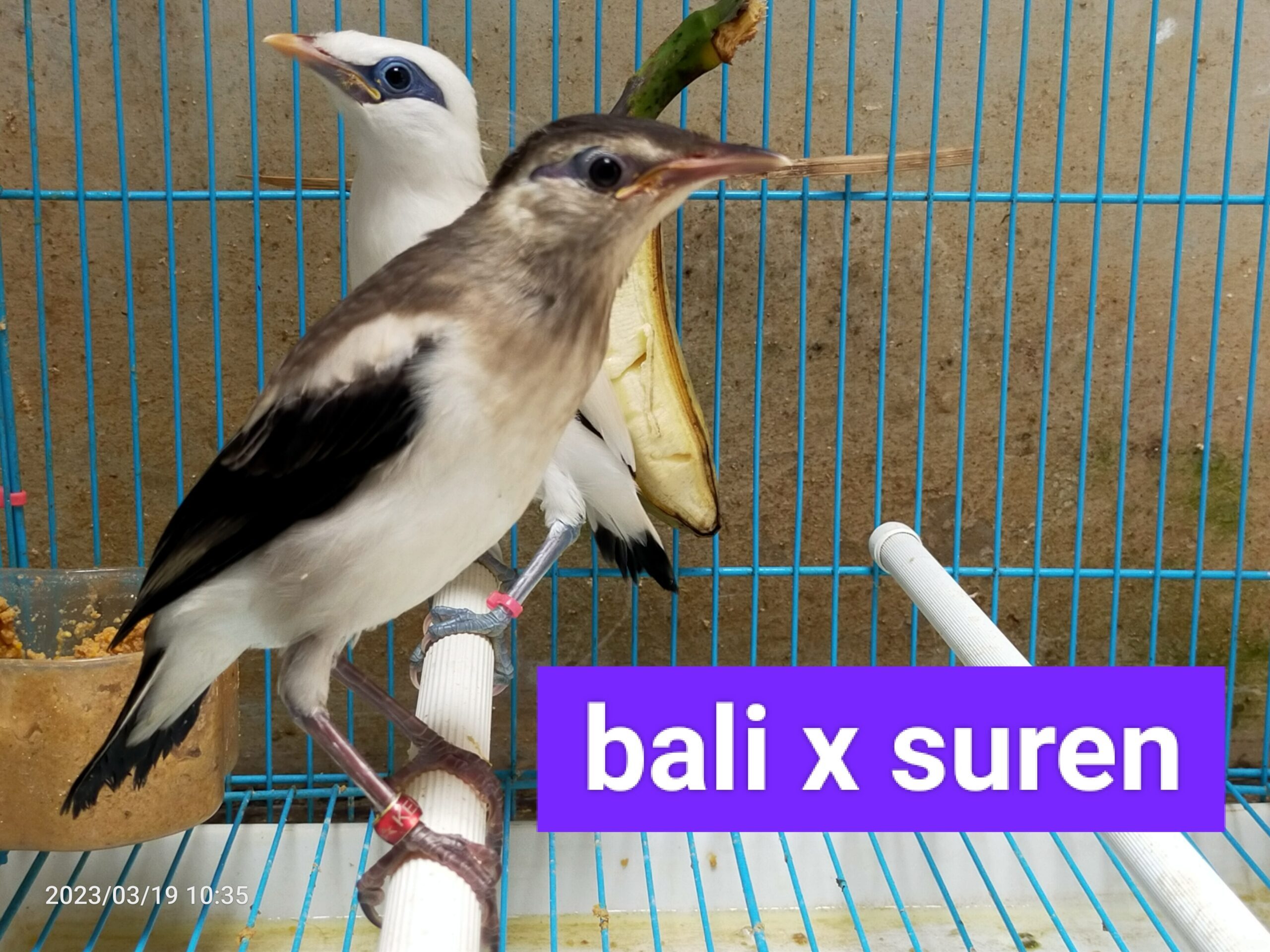 img_20230403_135905-scaled-5680483