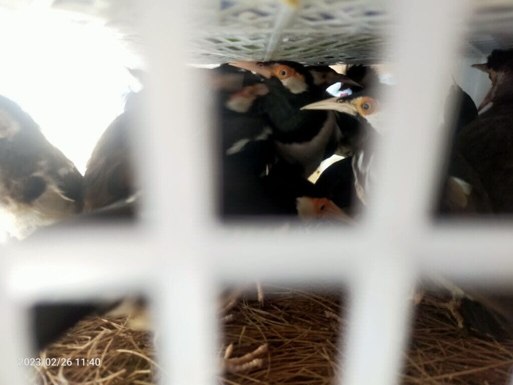 img20230226114033-1024x768-7746946