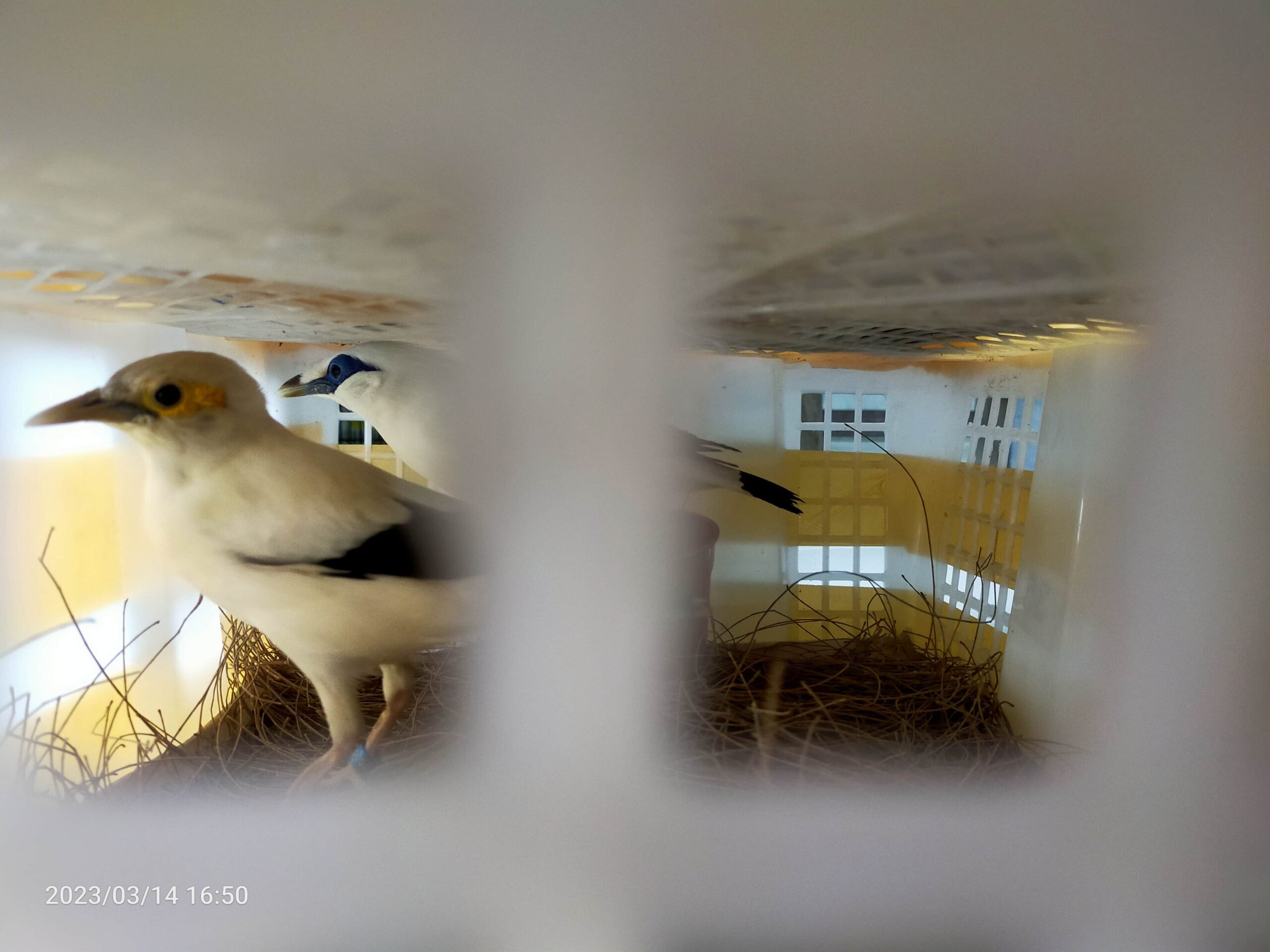 img20230314165008-3521155