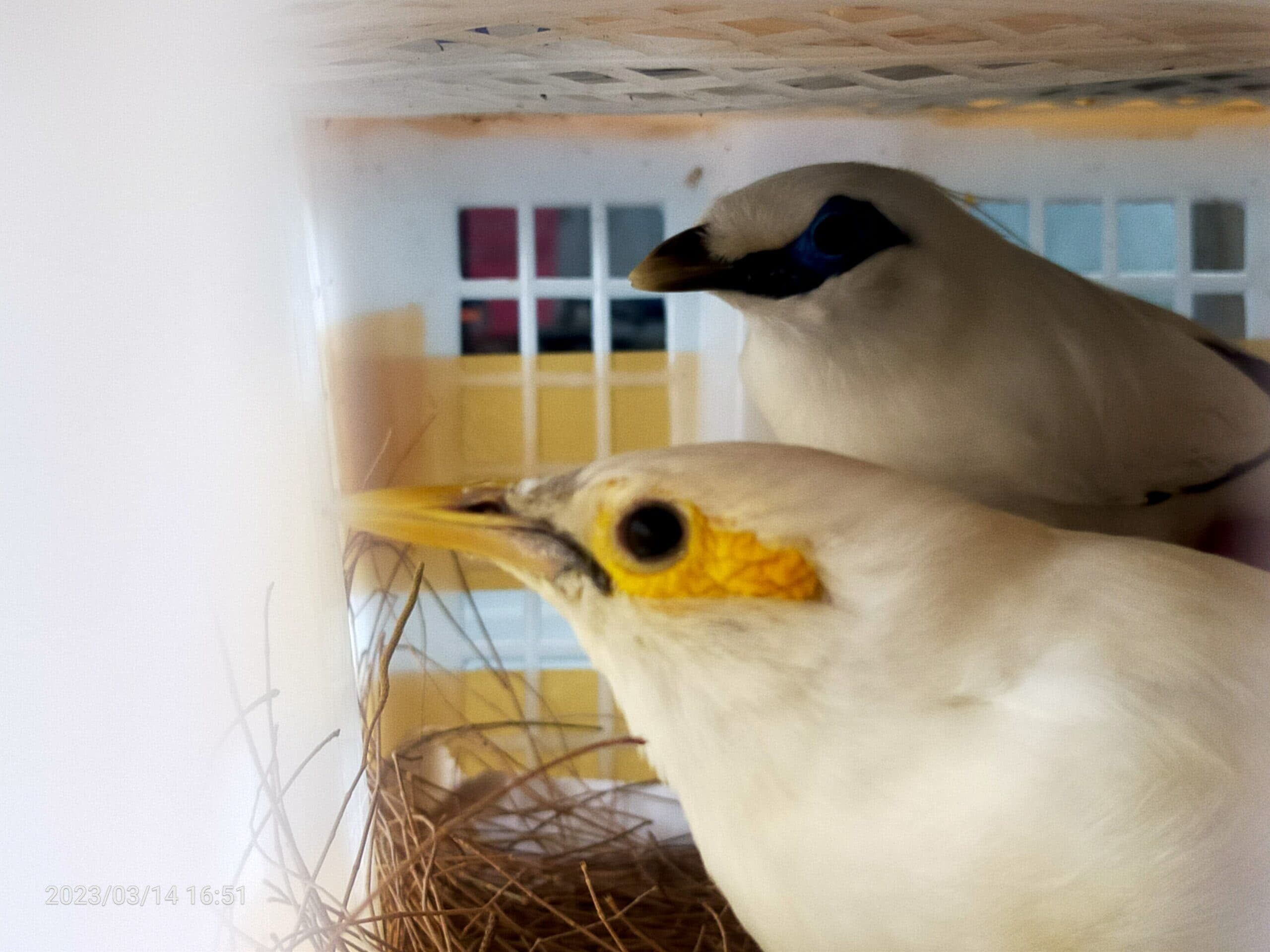 img20230314165115-scaled-5747675