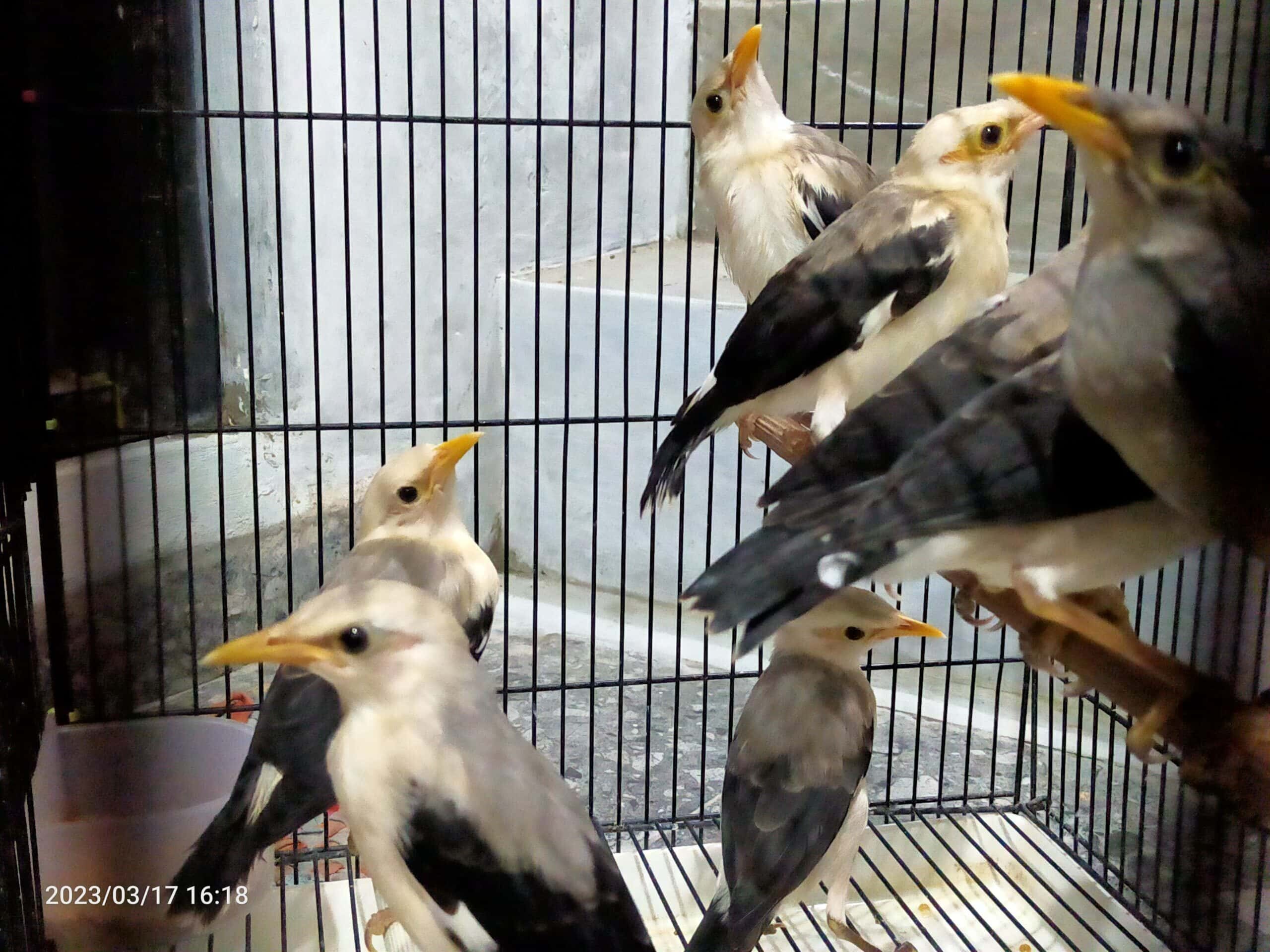 img20230317161813-scaled-2938266