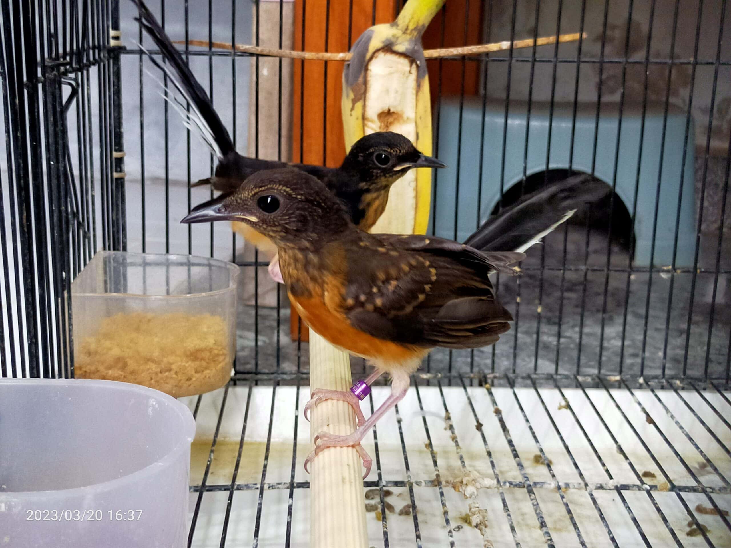 img20230320163720-scaled-7691769