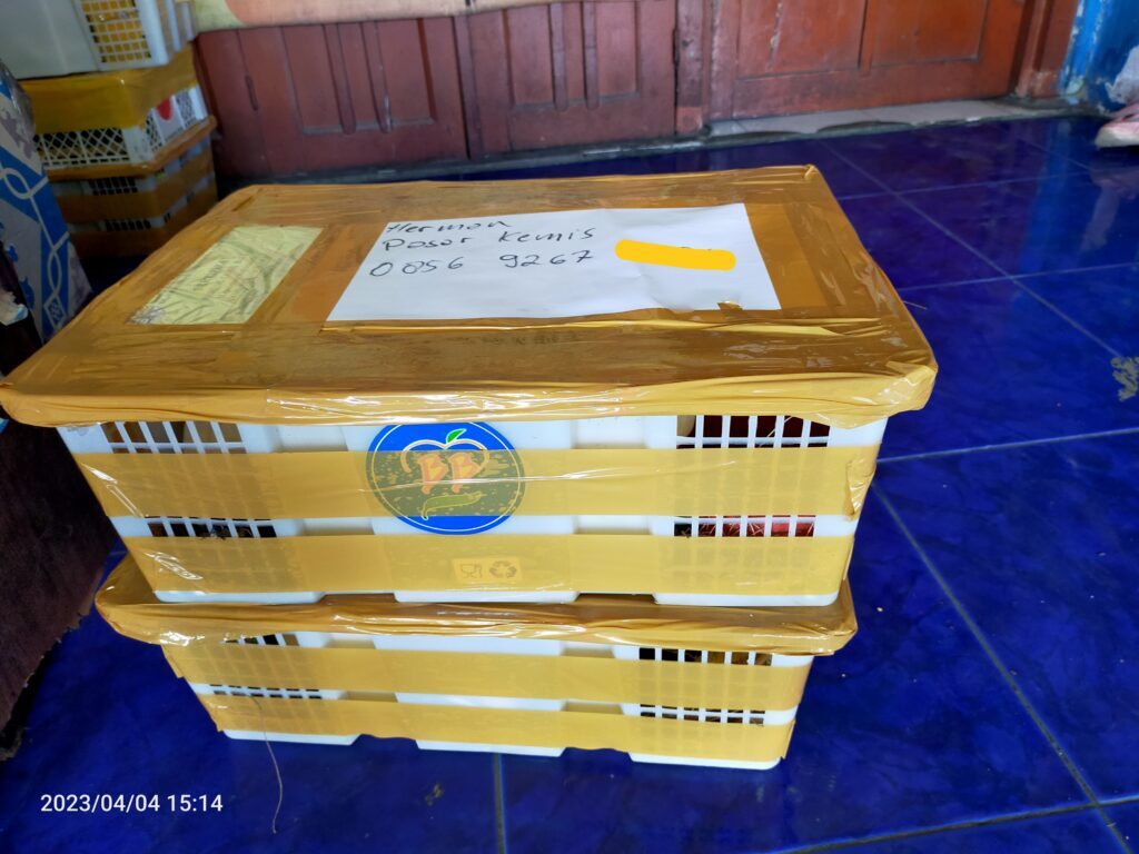 img_20230408_022725-1024x768-2107603