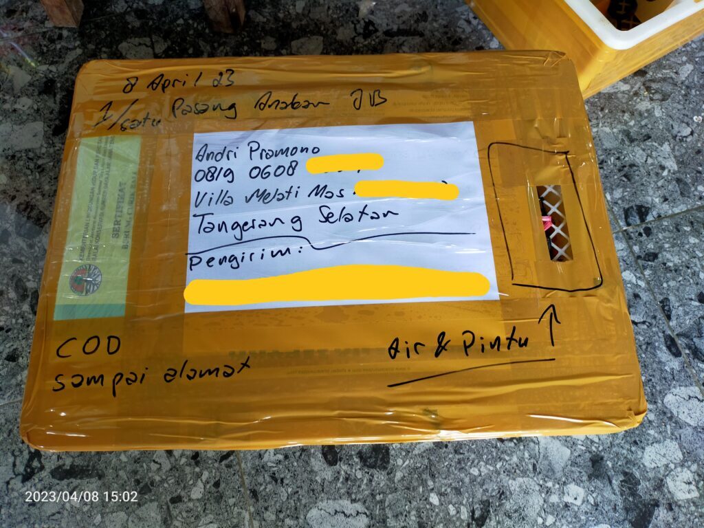 img_20230411_115357-1024x768-6381715