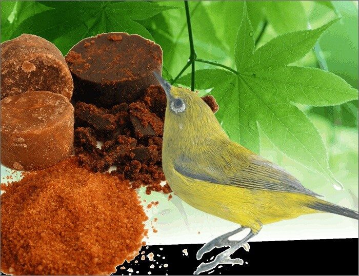 doping-pleci-dengan-air-gula-merah-7284262