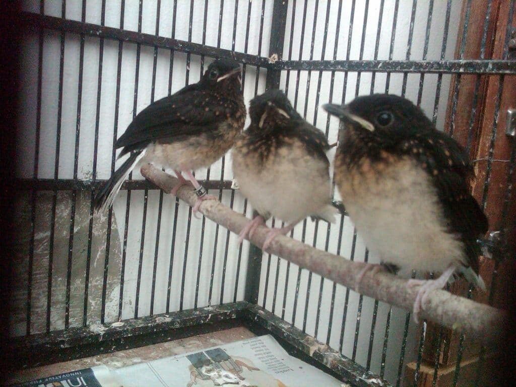 img00298-20111111-0613-1178254